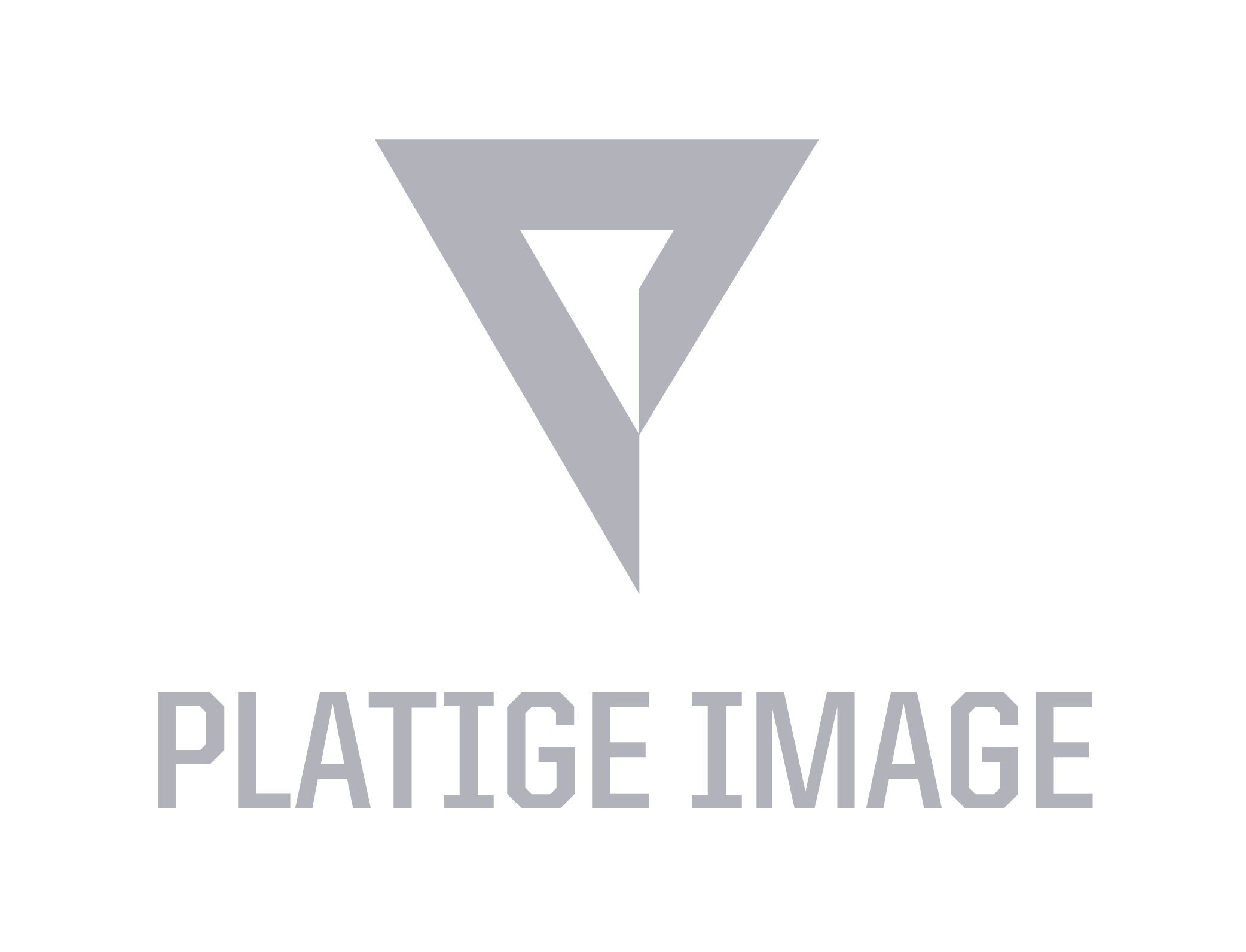 Platige Image GameDev logo - trusted partners of 8Bit gaming industry recruitment