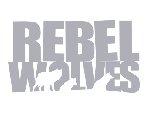 Rebel Wolves games logo - trusted partners of 8Bit game development hiring agency