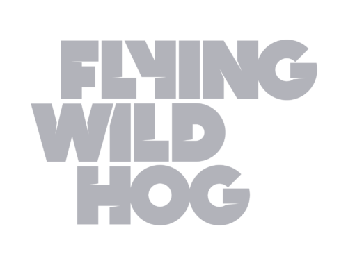 Flying Wild Hog game studio logo - trusted partners of 8Bit gaming industry recruitment