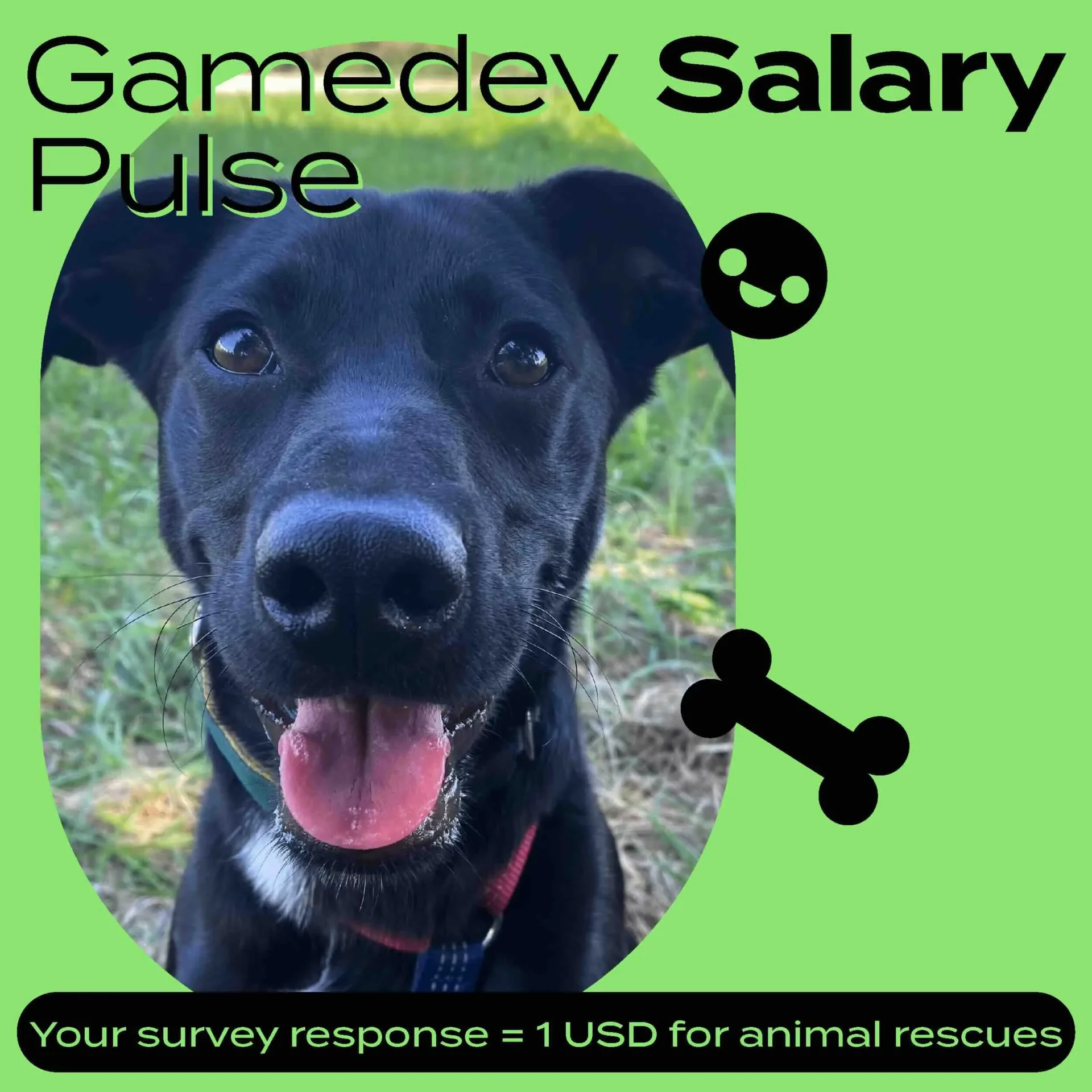 Gamedev Salary Pulse survey by 8Bit - games industry recruitment agency, for every response we donate 1 USD for animal rescues